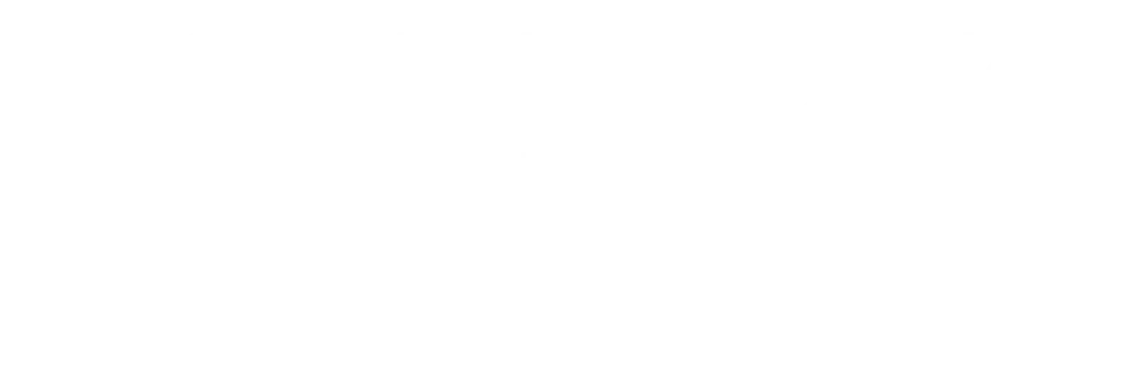 IRI logo